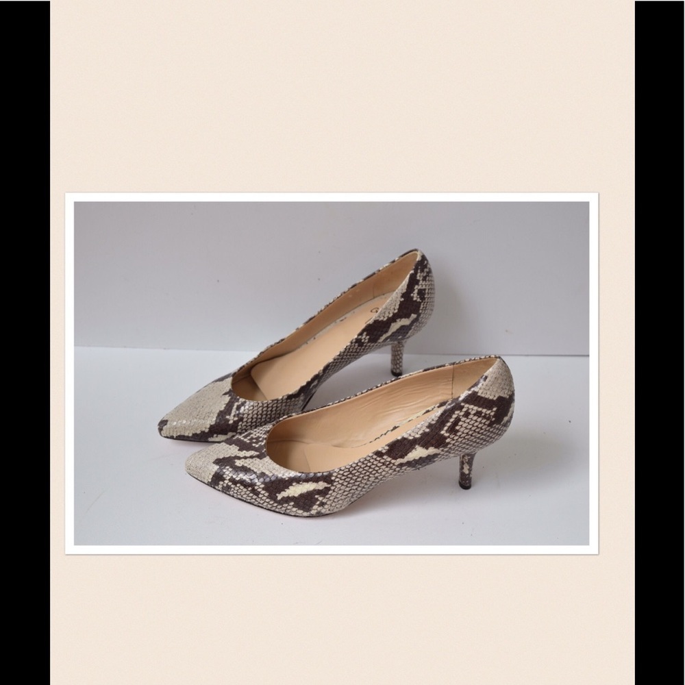 NWOT Amalfi pumps